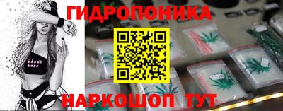 сатива Можга