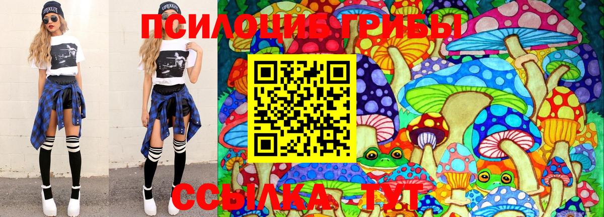 Галлюциногенные грибы Psilocybine cubensis Вологда