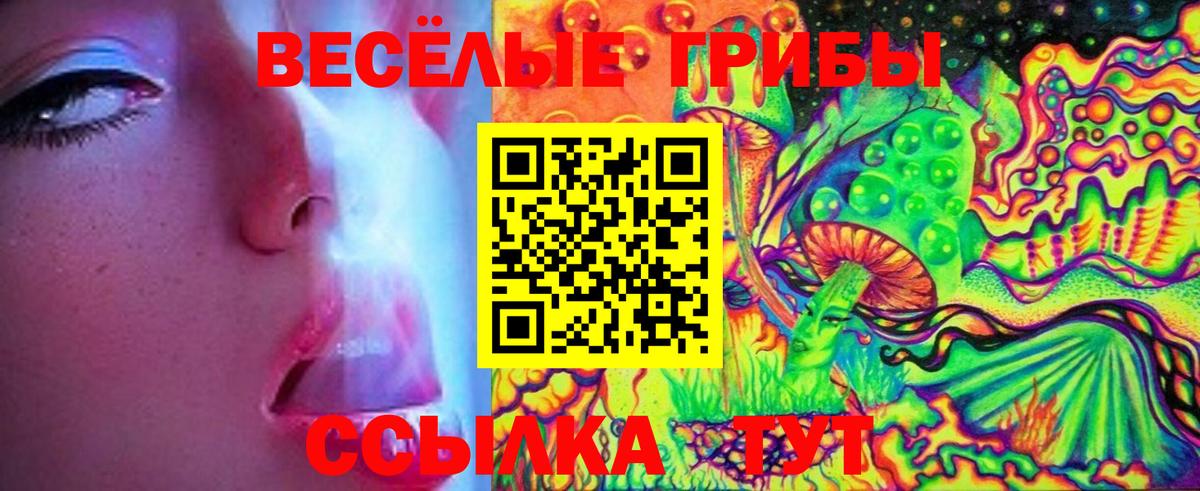 Псилоцибиновые грибы Psilocybine cubensis  Вход с VPN  Вологда  Галлюциногенные грибы мухоморы 